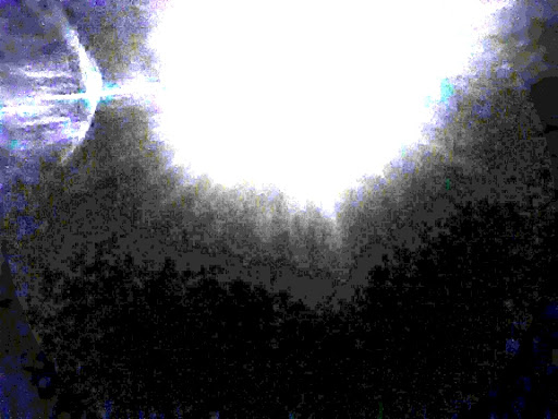 Community Center «Seventh Day Adventist COMM Center», reviews and photos, 1320 N 15th St, Phoenix, AZ 85006, USA