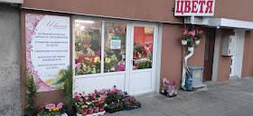 'Руми' Магазин за цветя