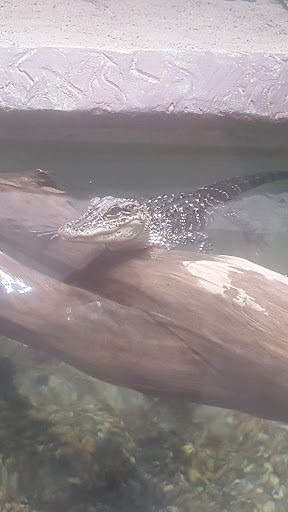 Aquarium «Great Lakes Aquarium», reviews and photos, 353 Harbor Dr, Duluth, MN 55802, USA