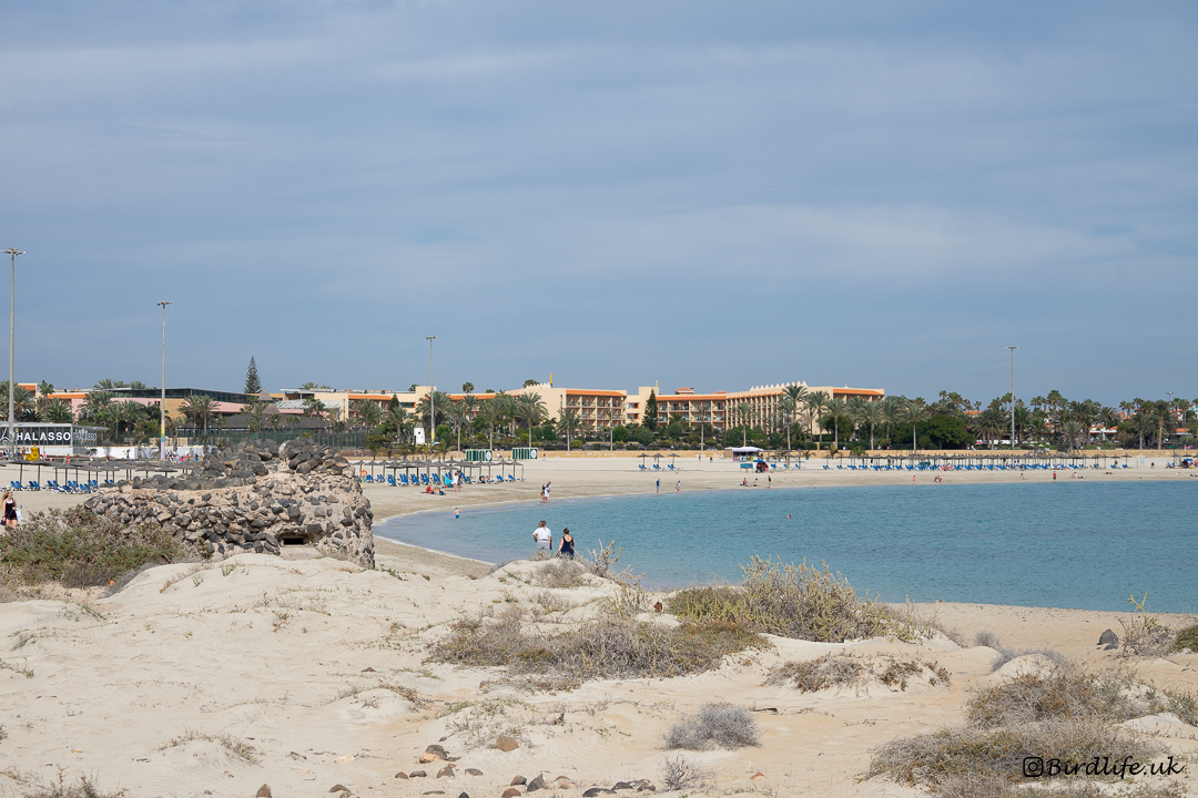 Playa del Castillo photo #9