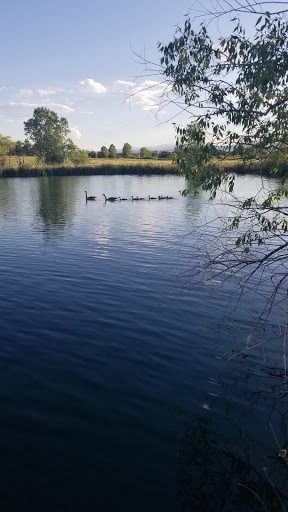 Park «Westminster City Park», reviews and photos, 10455 N Sheridan Blvd, Westminster, CO 80020, USA
