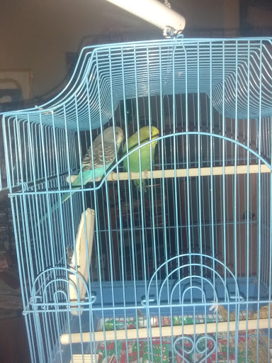 Pet Supply Store «Petco Animal Supplies», reviews and photos, 226 Thornton Drive, Dickson, TN 37055, USA