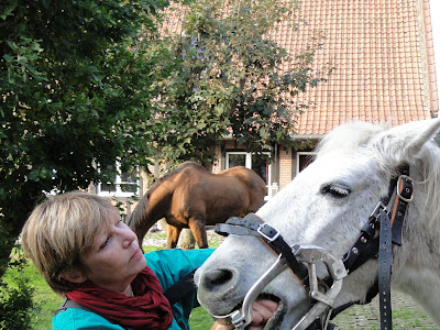 Véronique QUENSON - eurl Equine Dentisterie à Brebières