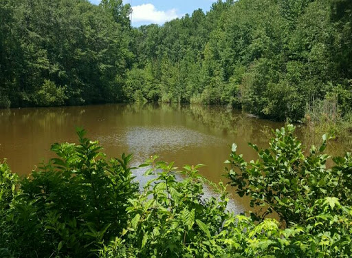 National Forest «Tuskegee National Forest», reviews and photos, 125 National Forest Rd 949, Tuskegee, AL 36083, USA