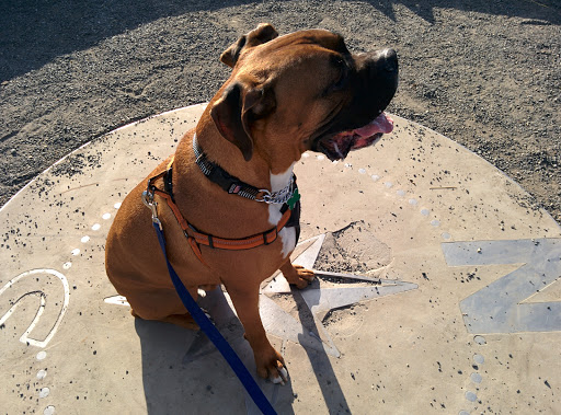 Park «Powell Butte Nature Park», reviews and photos, 16160 SE Powell Blvd, Portland, OR 97236, USA