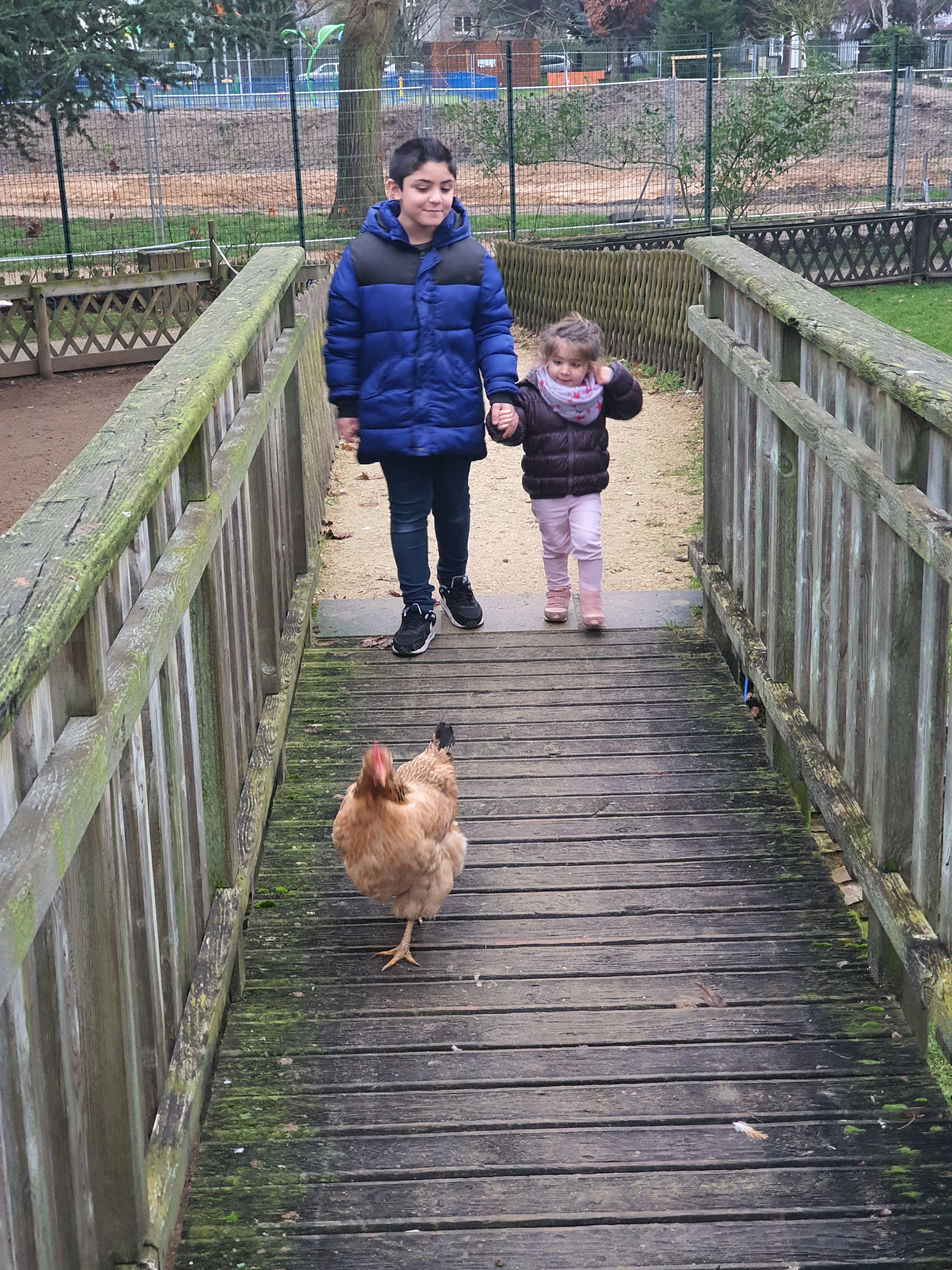 Photo n° 1 de l'avis de Yozer. fait le 16/02/2020 à 16:03
