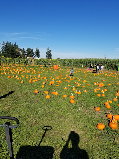 Market «E Z Orchards Farm Market», reviews and photos, 5504 Hazelgreen Rd NE, Salem, OR 97305, USA