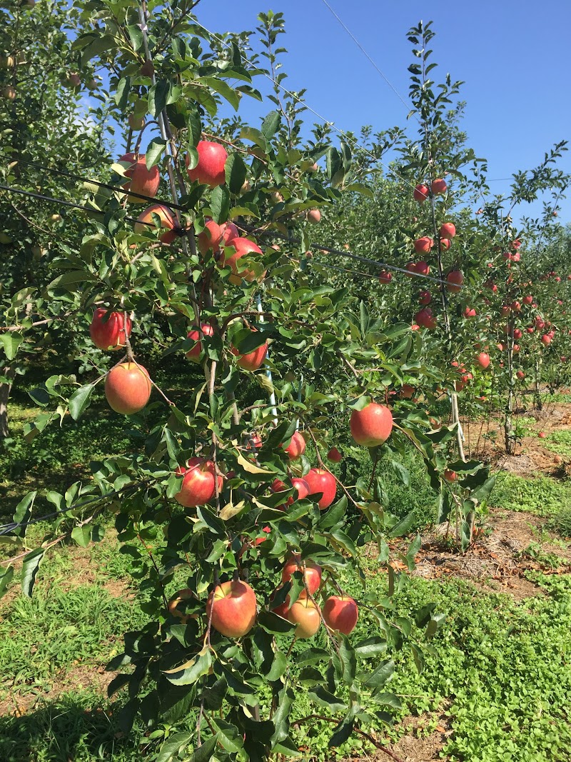 りんごの丘農園