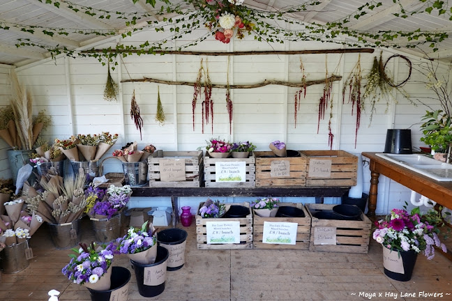 Reviews of Hay Lane Flowers in Bedford - Florist