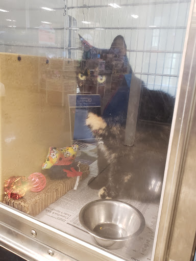 Pet Supply Store «PetSmart», reviews and photos, 159 N Weber Rd, Bolingbrook, IL 60490, USA