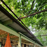 Photo n°4 de l'avis de Paola.a fait le 29/07/2023 à 09:32 sur le  La Cantina dei Piazza à Sorisole