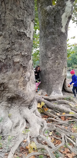 Historical Landmark «Mississinewa 1812», reviews and photos, 6000 N 300 W27, La Fontaine, La Fontaine, IN 46940, USA