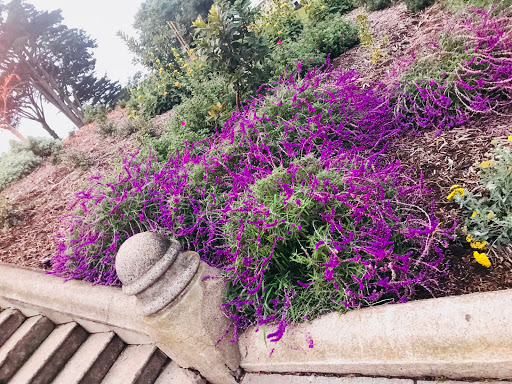 Historical Landmark «Painted Ladies», reviews and photos, Steiner St, San Francisco, CA 94117, USA