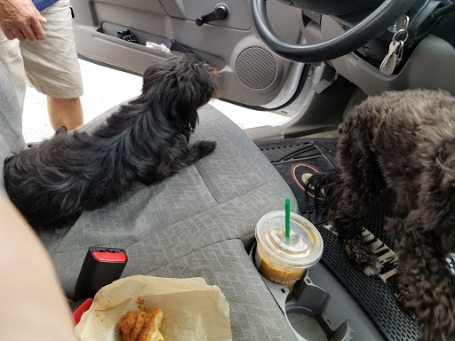 Coffee Shop «Starbucks», reviews and photos, 6295 Ameriplex Dr #101, Portage, IN 46368, USA