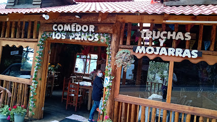 Las Margaritas Truchas - Carretera federal KM197, Oaxaca-Tuxtepec Tierra Colorada, Ixtepeji, Ixtlán, 68777 Oax., Mexico