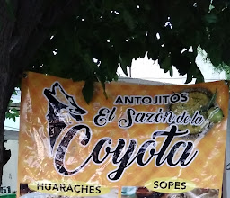 EL SAZON DE LA COYOTA photo