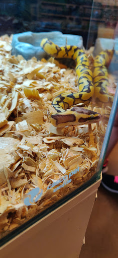 Pet Supply Store «PetSmart», reviews and photos, 1561 N Dysart Rd, Avondale, AZ 85323, USA