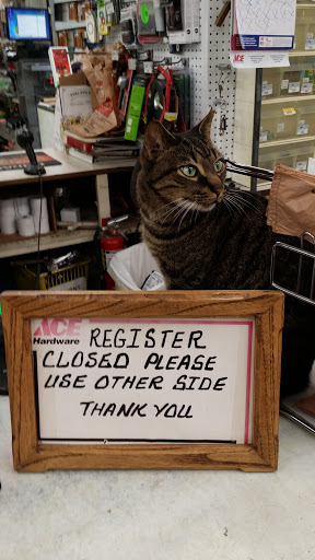 Hardware Store «Ace Hardware», reviews and photos, 2585 N Florida Ave, Hernando, FL 34442, USA