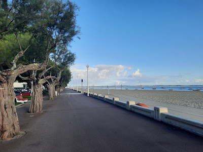 BOOKING VTC CHAUFFEUR ARCACHON 10 ans d'expérience à Arcachon