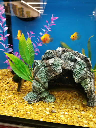 Pet Supply Store «Pet Supplies Plus», reviews and photos, 690 N State St, Westerville, OH 43082, USA