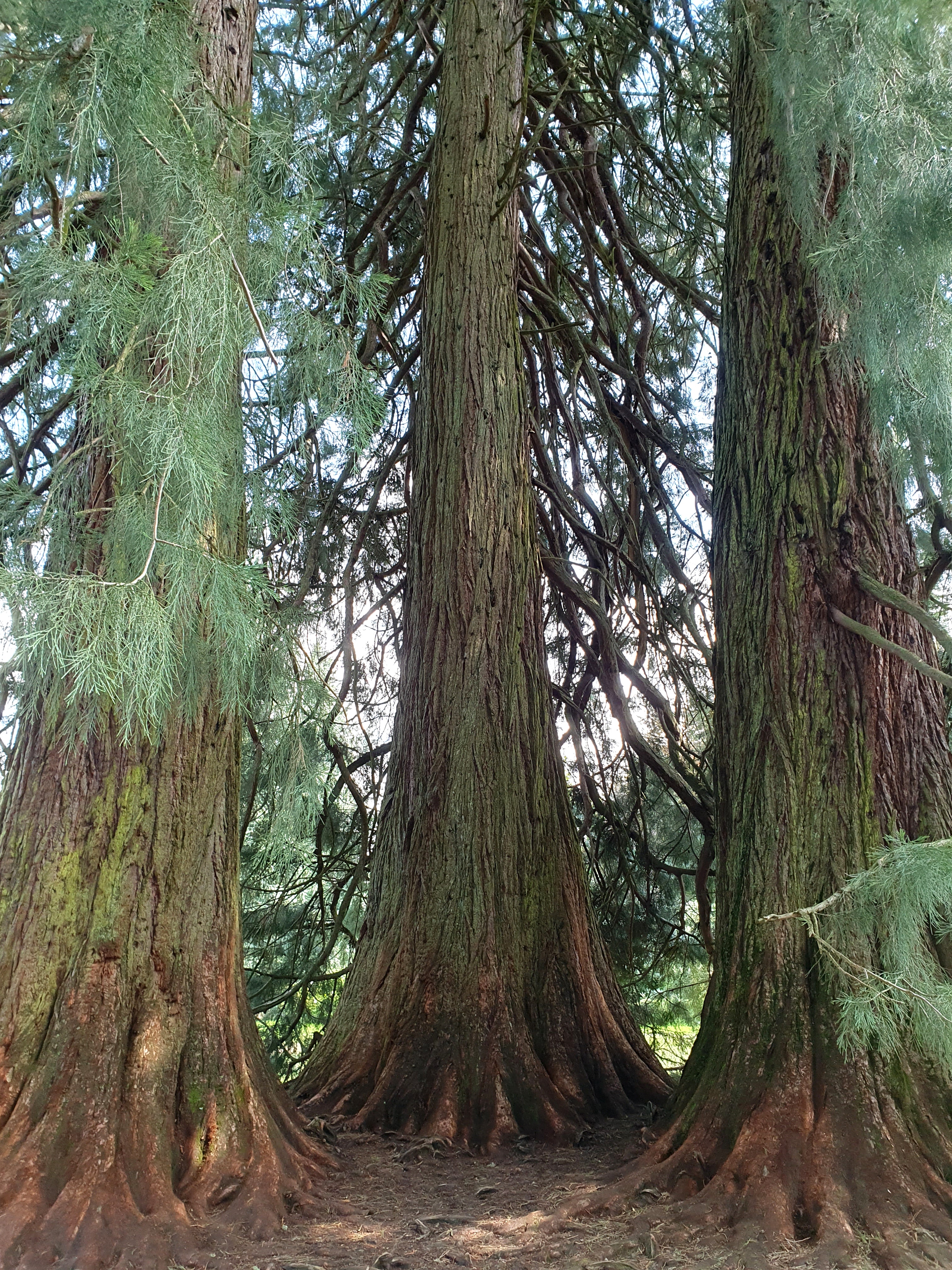 Photo n° 2 de l'avis de catherine.s fait le 07/09/2023 à 05:28