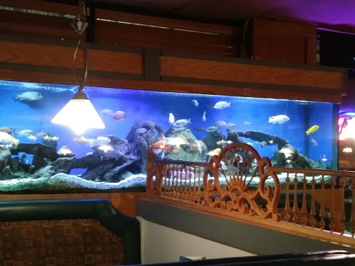 Shopping Mall «Tiffany Plaza Mall», reviews and photos, 7800 E Hampden Ave, Denver, CO 80231, USA