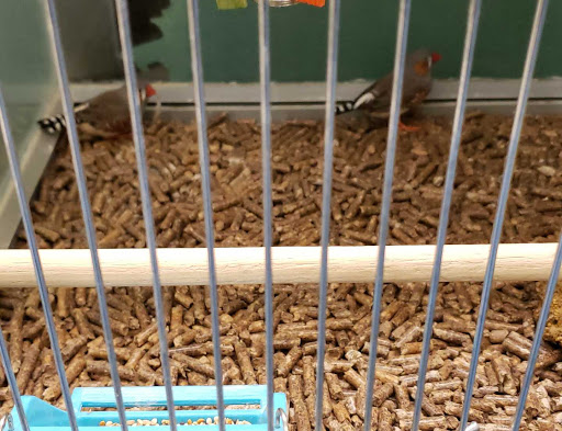 Pet Supply Store «Pet Supplies Plus», reviews and photos, 11972 Saginaw St, Mt Morris, MI 48458, USA