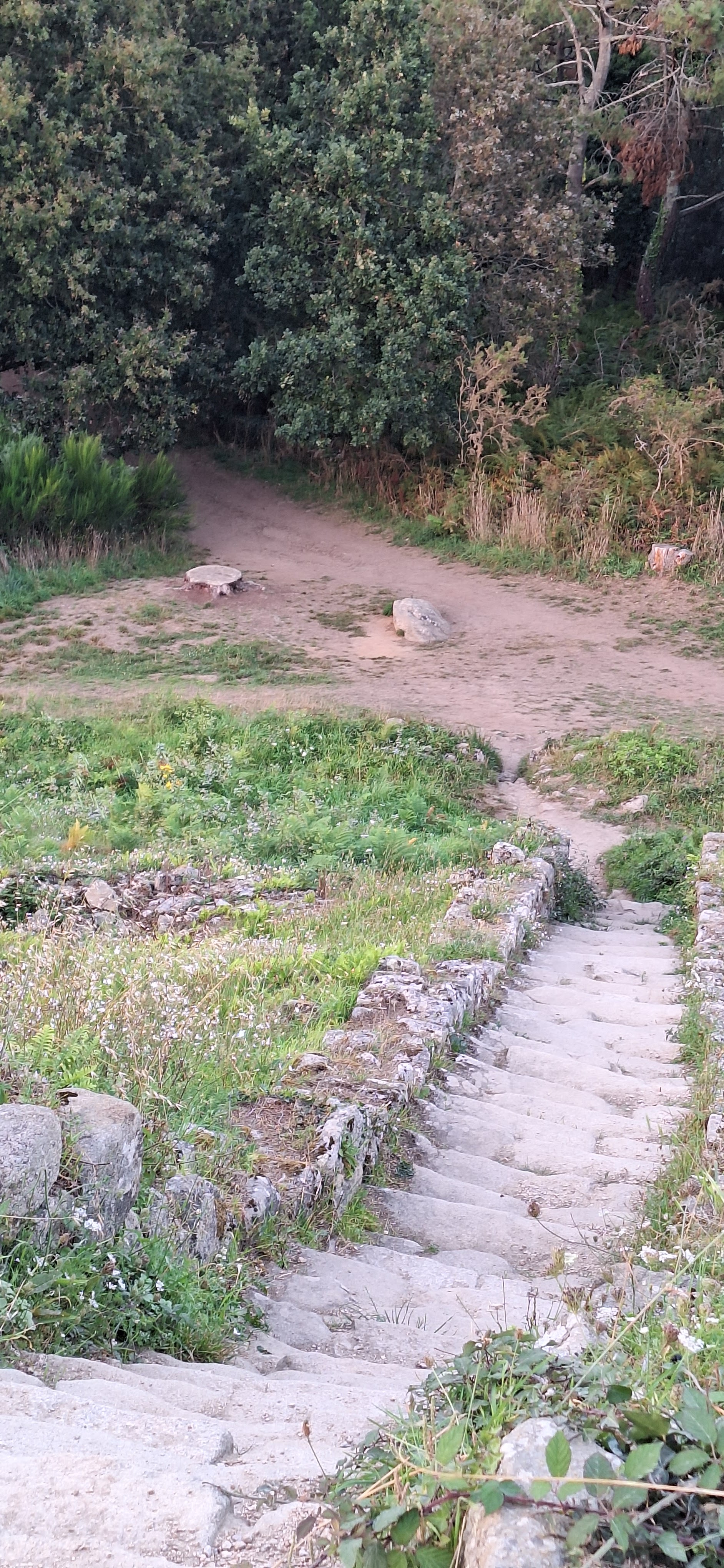 Photo n° 3 de l'avis de FALHER.A fait le 26/08/2023 à 20:27