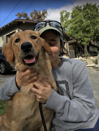 Karma Dog Training Dallas - Photo 7 - Car repair in , Garland