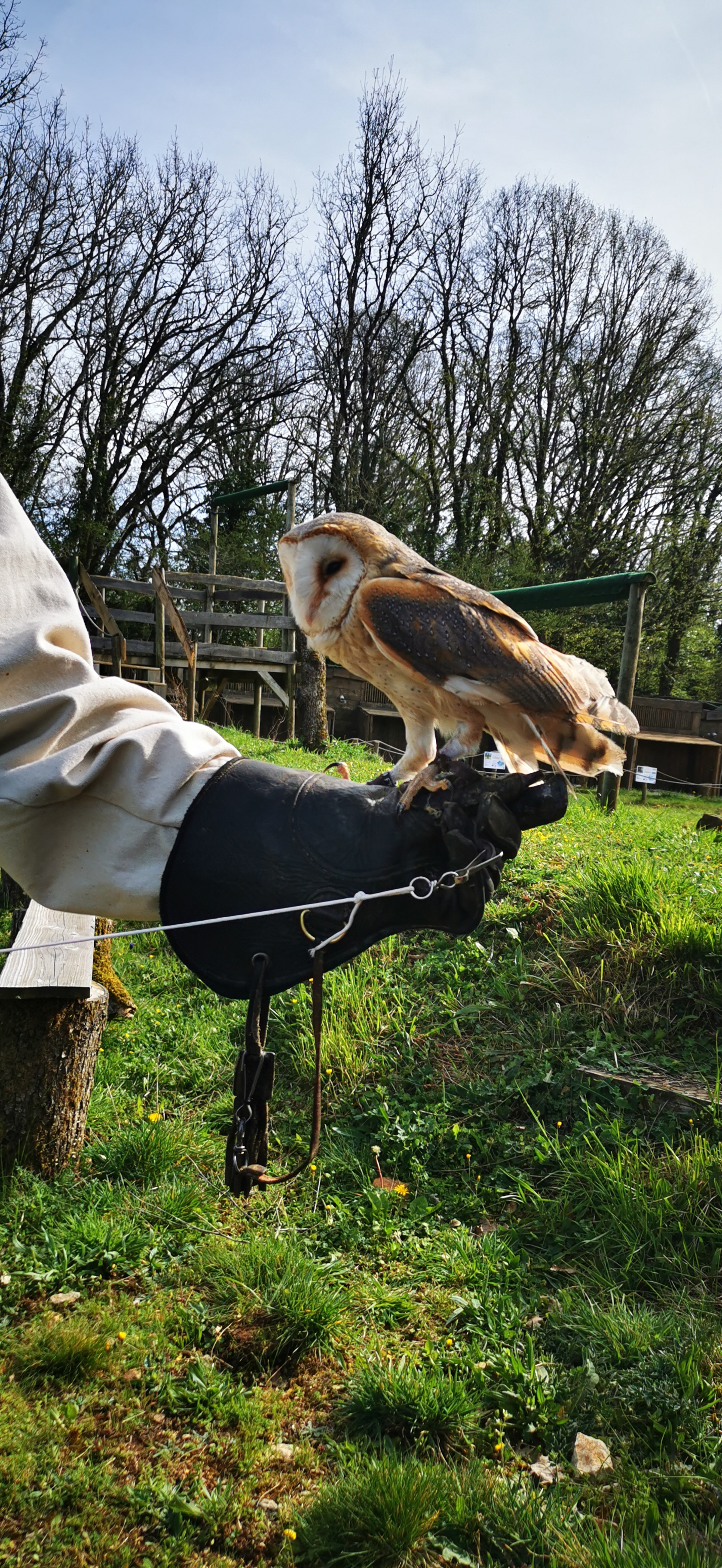 Photo n° 7 de l'avis de cjvl. fait le 10/04/2022 à 19:51