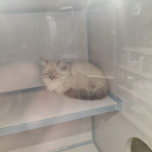 Pet Store «Pet City Pet Shops», reviews and photos, 750 Citadel Dr N # 2092, Colorado Springs, CO 80909, USA