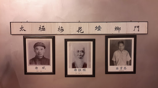 IAMC (Hong Taiji quan & Kung Fu Wushu)