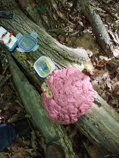 Park «Secor Woods Park», reviews and photos, Secor Rd, Hartsdale, NY 10530, USA