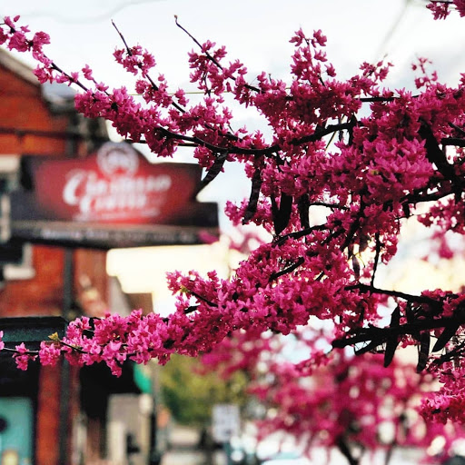 Coffee Shop «Carabello Coffee Company», reviews and photos, 107 E 9th St, Newport, KY 41071, USA