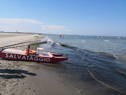 Foto von Spiaggia Isola Albarella mit sehr sauber Sauberkeitsgrad