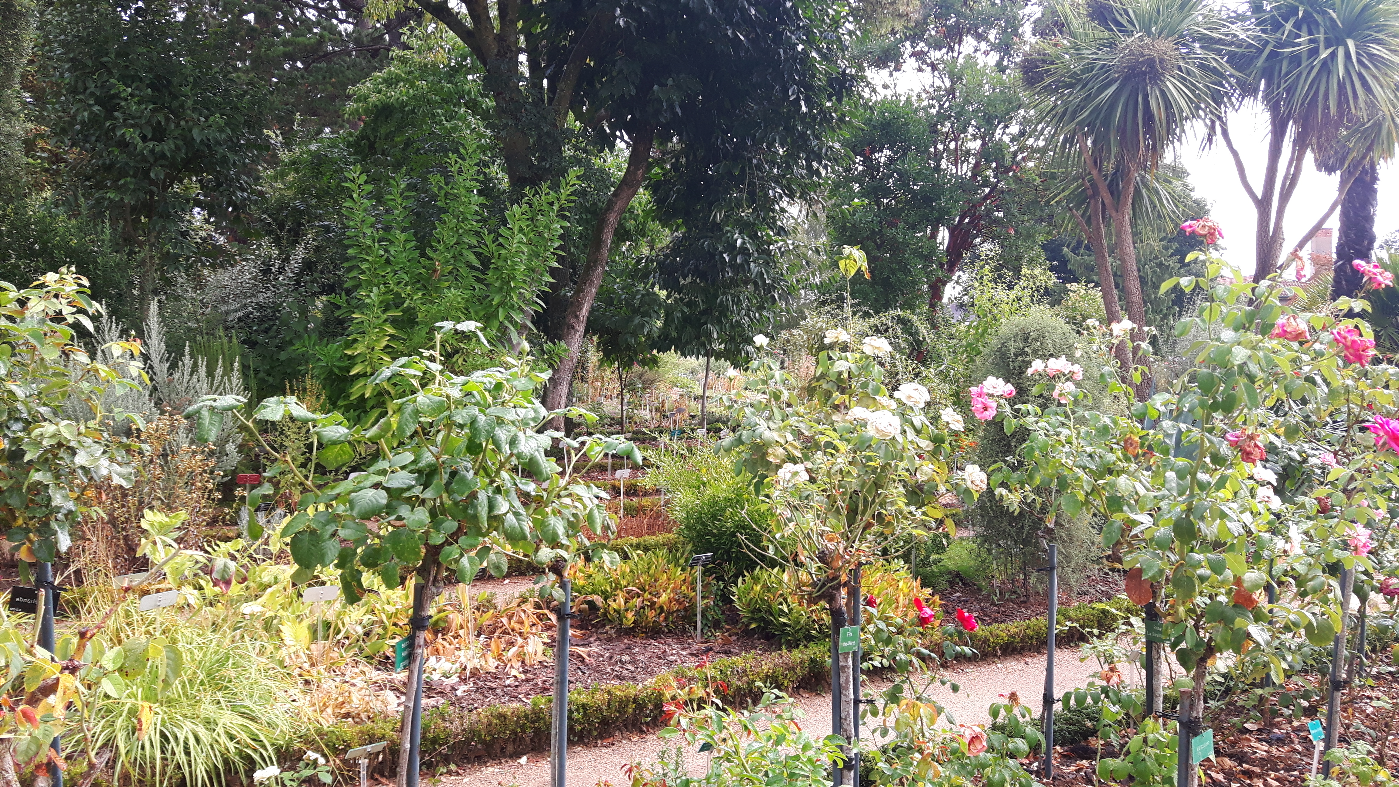 Photo n° 4 de l'avis de Hélène.a fait le 17/08/2022 à 20:08