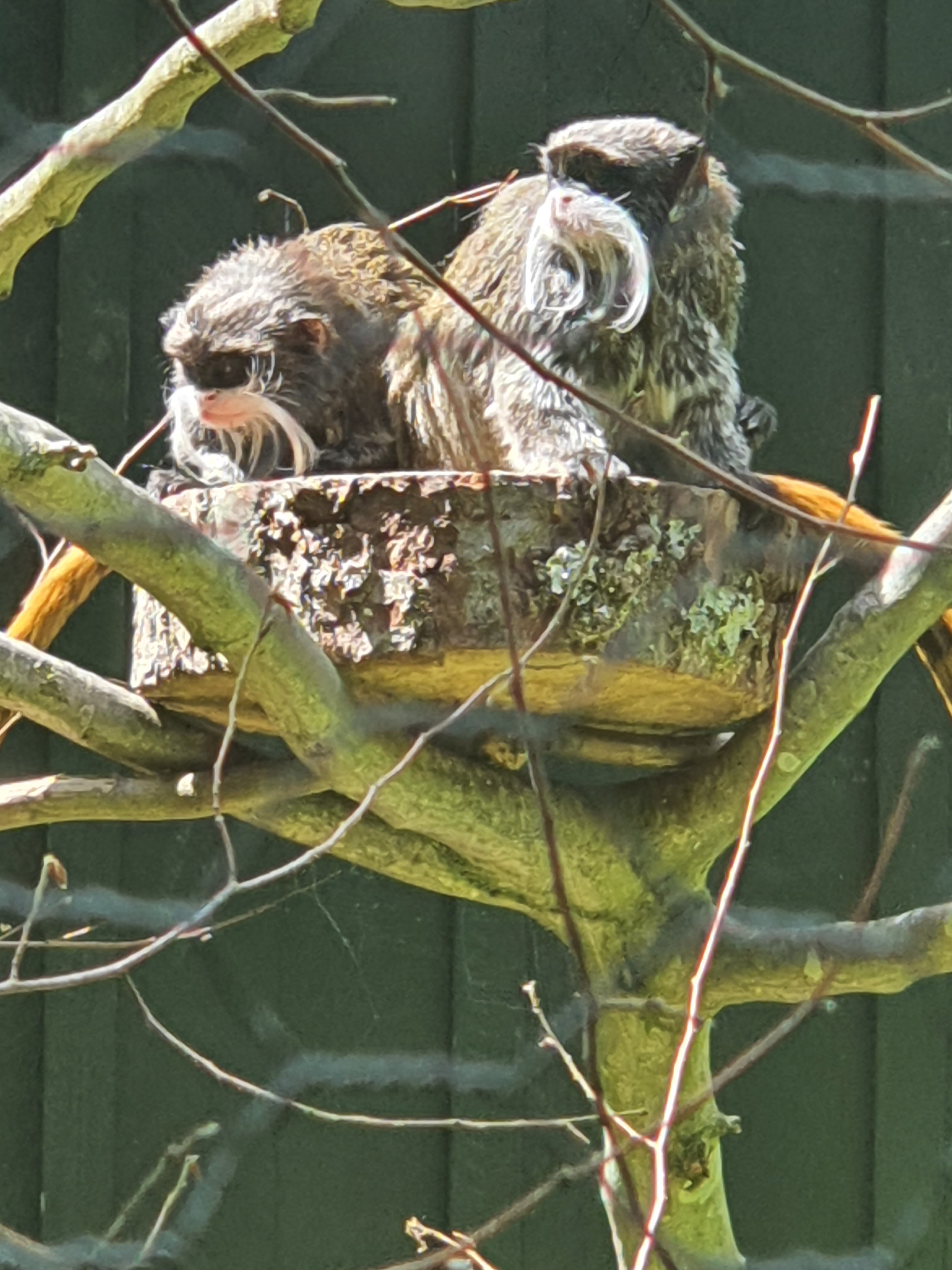 Photo n° 10 de l'avis de Mylene.o fait le 17/07/2023 à 15:57