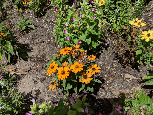 Country Club «St. Johns Golf & Country Club», reviews and photos, 205 St Johns Golf Dr, St Augustine, FL 32092, USA