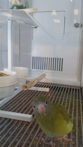 Pet Supply Store «Petco Animal Supplies», reviews and photos, 29335 Orchard Lake Rd, Farmington Hills, MI 48334, USA