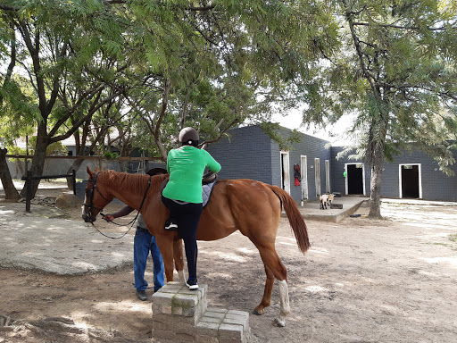 RideJozi Equestrian Ranch