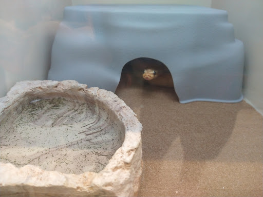 Pet Supply Store «Pet Supplies Plus», reviews and photos, 211 Golden Isles Plaza, Brunswick, GA 31520, USA