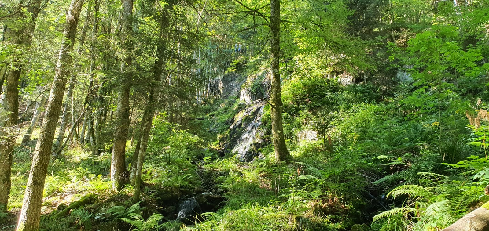 Photo n° 4 de l'avis de rené.c fait le 20/08/2020 à 16:51