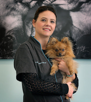 Clinique Vétérinaire VET'16-Paris 16ème à Paris