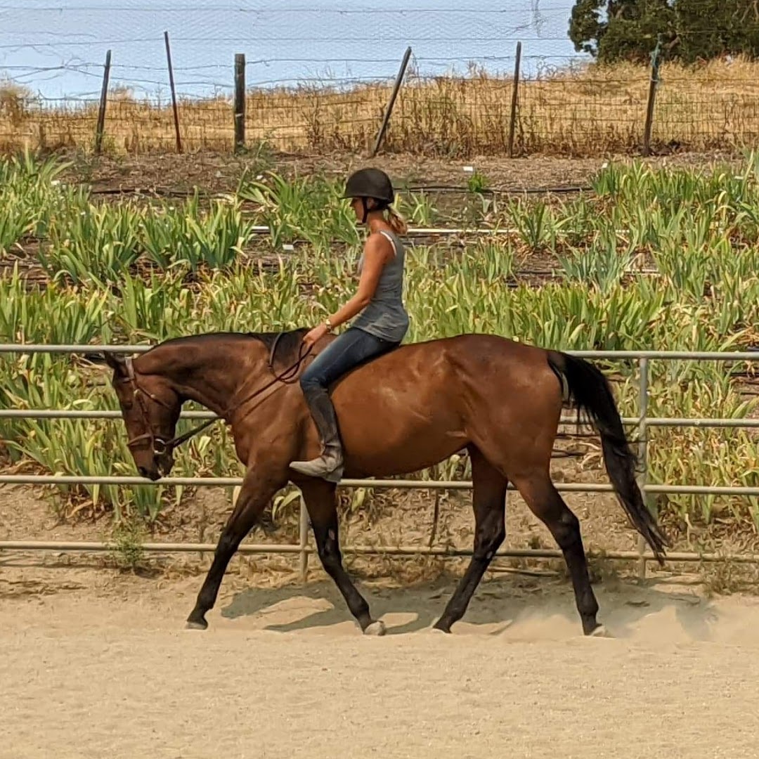 Free Heart Stables