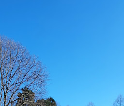 Panorama Park photo