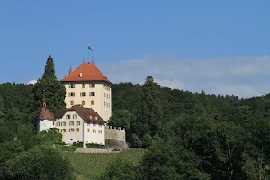 Schloss Heidegg image