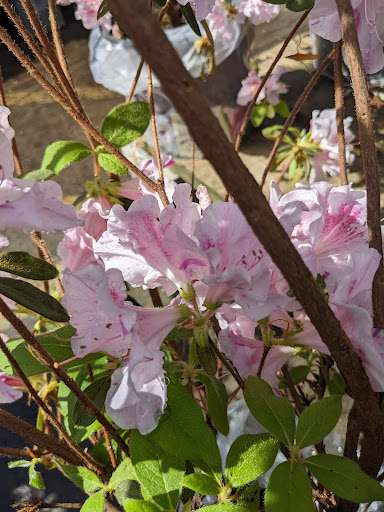 Home Improvement Store «The Home Depot», reviews and photos, 1750 Jonesboro Rd, McDonough, GA 30253, USA