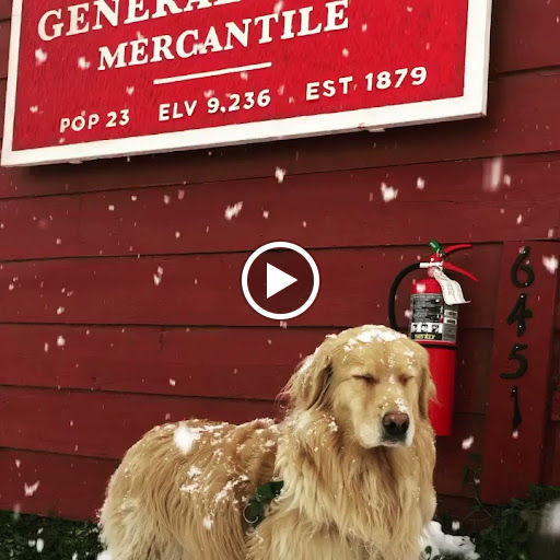 Grocery Store «Twin Lakes General Store», reviews and photos, 6451 CO-82, Twin Lakes, CO 81251, USA