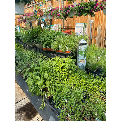 Garden Center «Stauffers of Kissel Hill Home & Garden Store», reviews and photos, 4450 Lincoln Hwy, York, PA 17406, USA