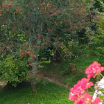 Photo n°8 de l'avis de Miky.a fait le 14/09/2018 à 13:05 sur le  Malga Roncac à Moena